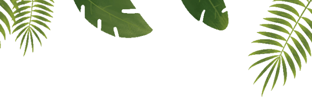 腾讯内容开放平台