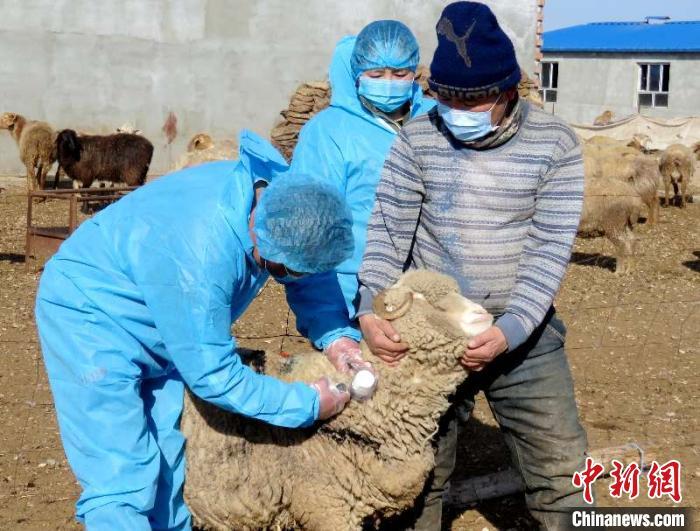 防疫人員上門服務新疆全面開展春季重大動物疫病防控