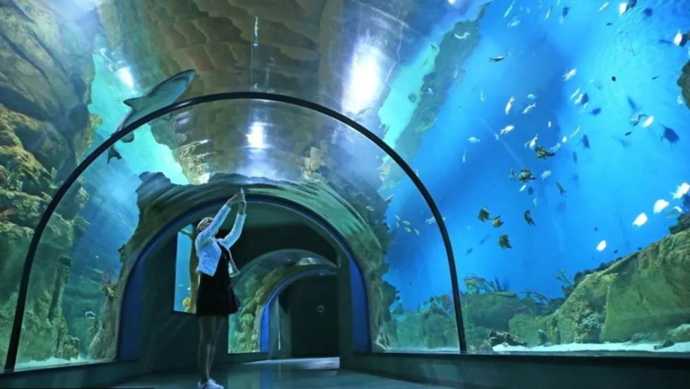 水族排行榜_2014-2015水族科学与技术专业大学竞争力排行榜