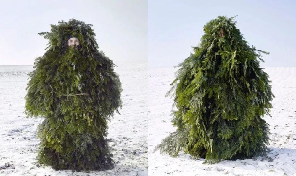 最佳埋伏 #隐身树衣#,你猜我猜不猜你能不能看见我.