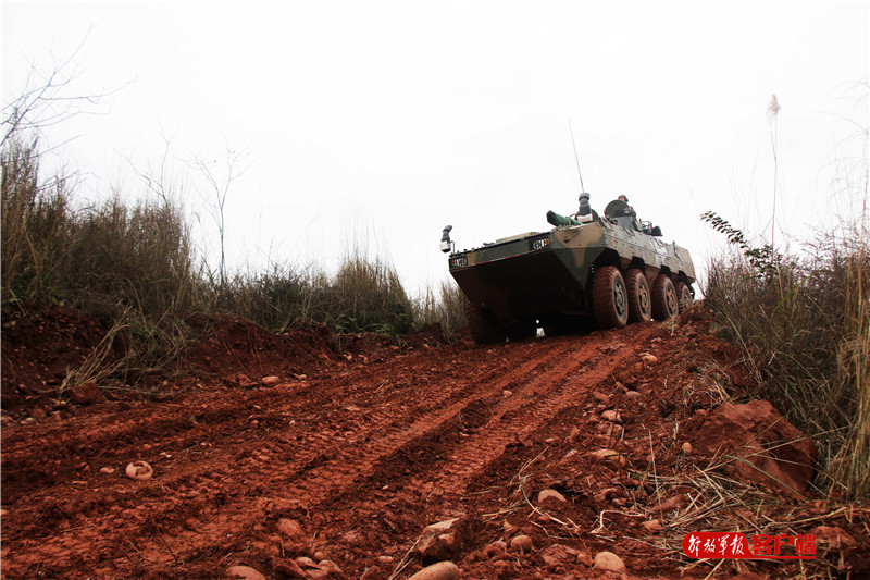 開跑練兵備戰這個旅的裝甲兵一刻也不放鬆