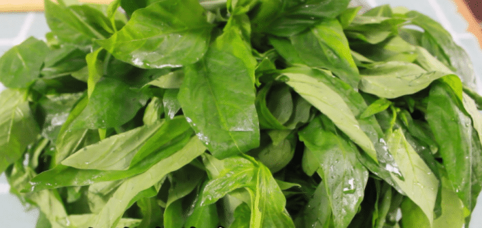 辣椒叶还能这样吃?钙含量超牛奶,补钙又美味,常吃身体好