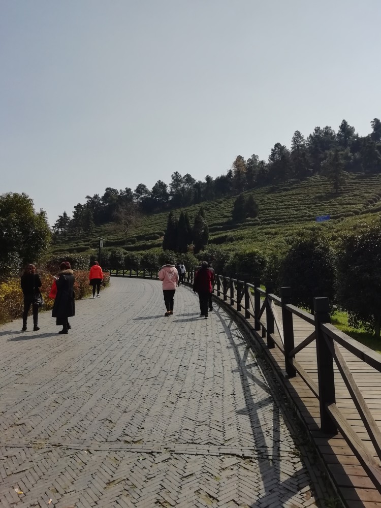 最美山村苏州树山村