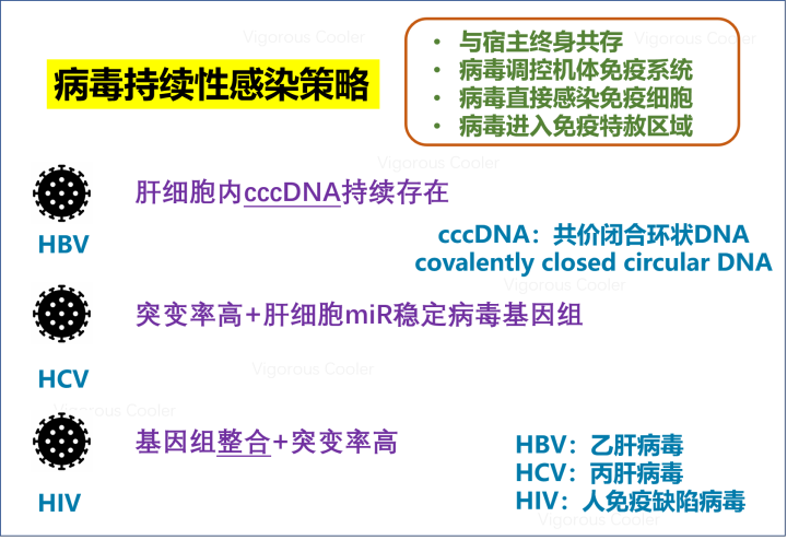 较真 新冠病毒和乙肝一样 的说法很离谱 一文读懂为什么 腾讯新闻