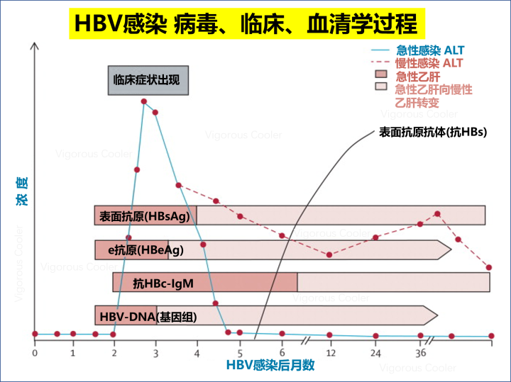 较真 新冠病毒和乙肝一样 的说法很离谱 一文读懂为什么 腾讯新闻