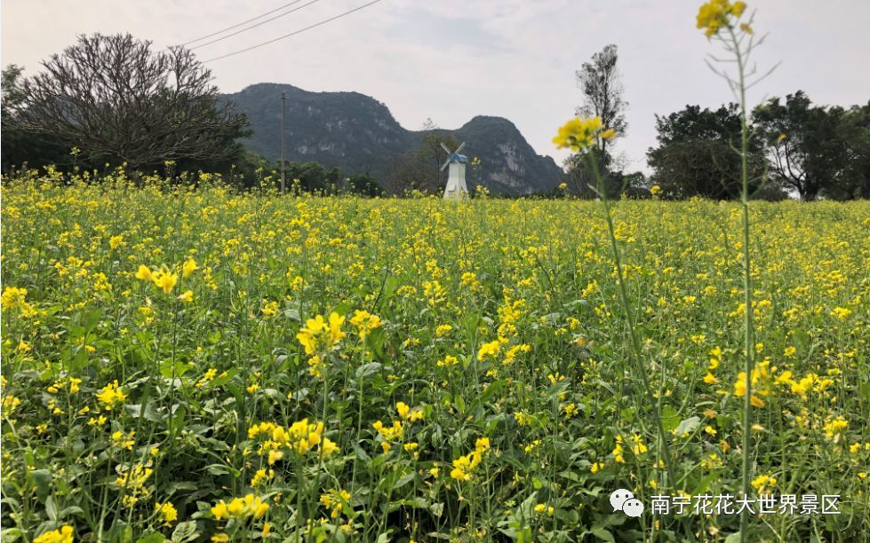 春暖花開,來看看這個