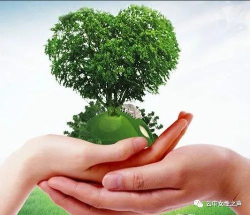 呵护绿色 守护地球