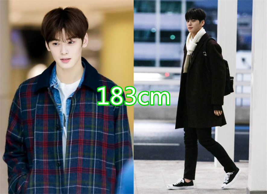 有种"理想型"叫男星身高,车银优183不算啥,李敏镐个子真优越!