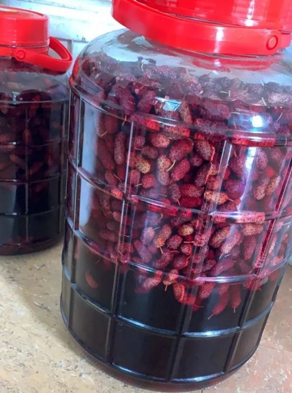 吃后嘴巴黑麻麻!很多人拿它泡酒_腾讯新闻