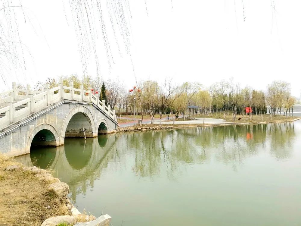 春天就是要花痴看单县如何迎接春天