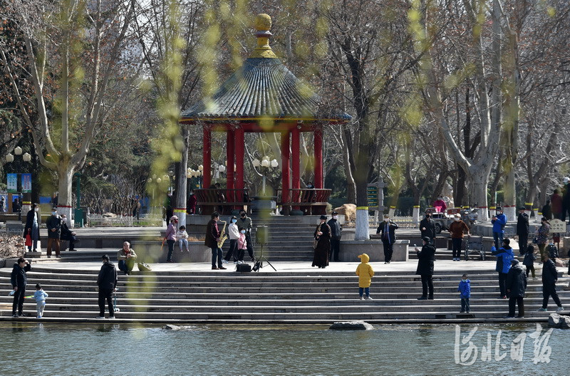 石家庄阳光明媚春意浓