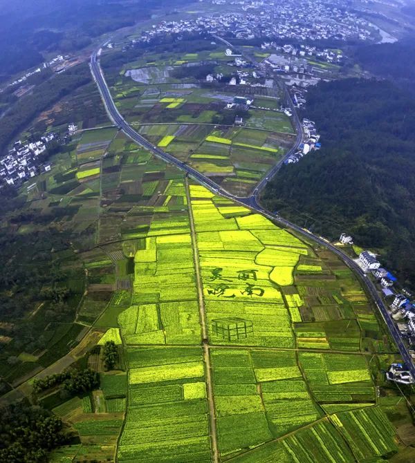 商山镇霞阜村姜不辣▲商山镇霞阜村姜不辣 渭桥乡上前村方红光