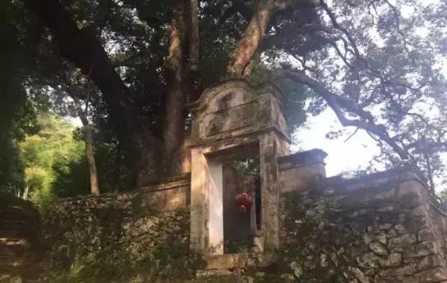 埭头古村 楠溪江畔大若岩下静美陈氏人家 腾讯新闻