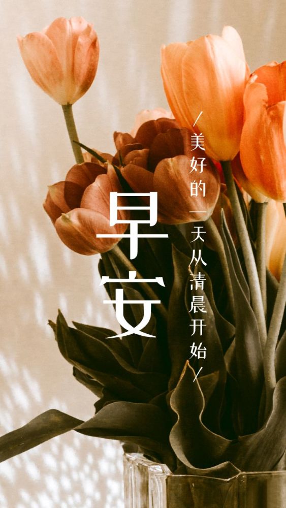 励志早安语录问候图片