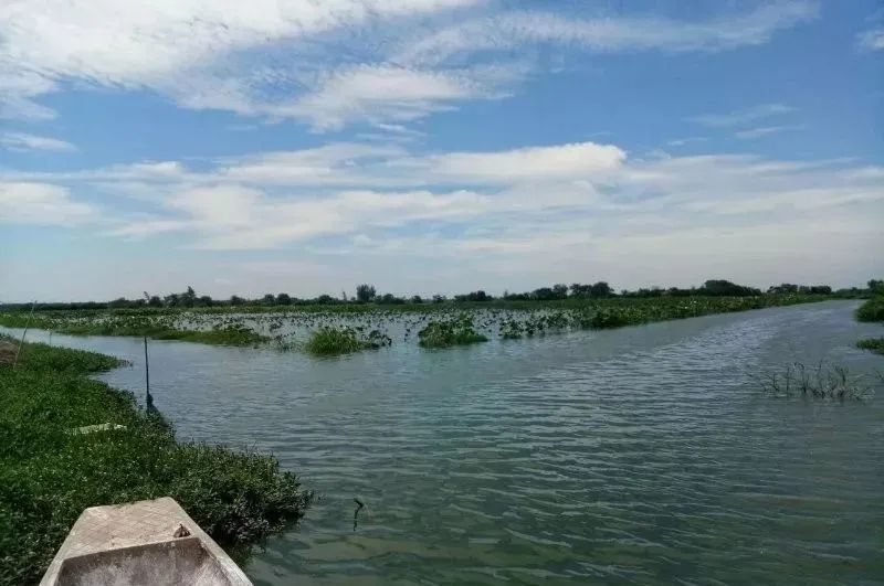 虾蟹养殖池塘三月主要生产工作安排