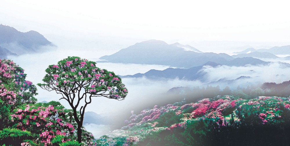 济公故里 佛宗道源 山水神秀 浙江天台山 为何众多名人来过 腾讯新闻