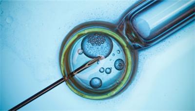 揭秘美国试管婴儿胚胎实验室的秘密