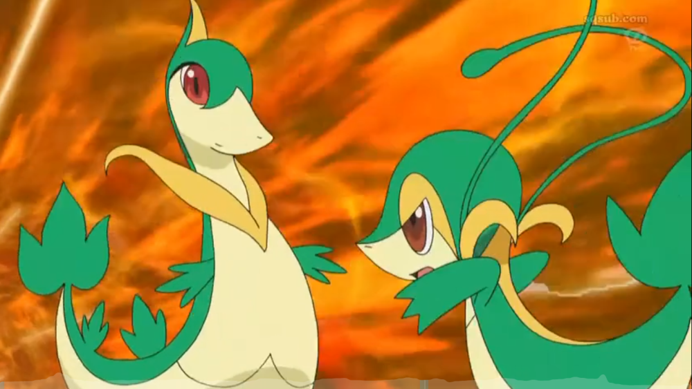 小智有3只草系御三家保持初始样貌却有远胜于进化型的强大战力