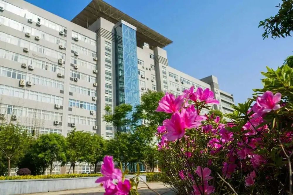 2020年,武汉城市职业学院新增5个专业!