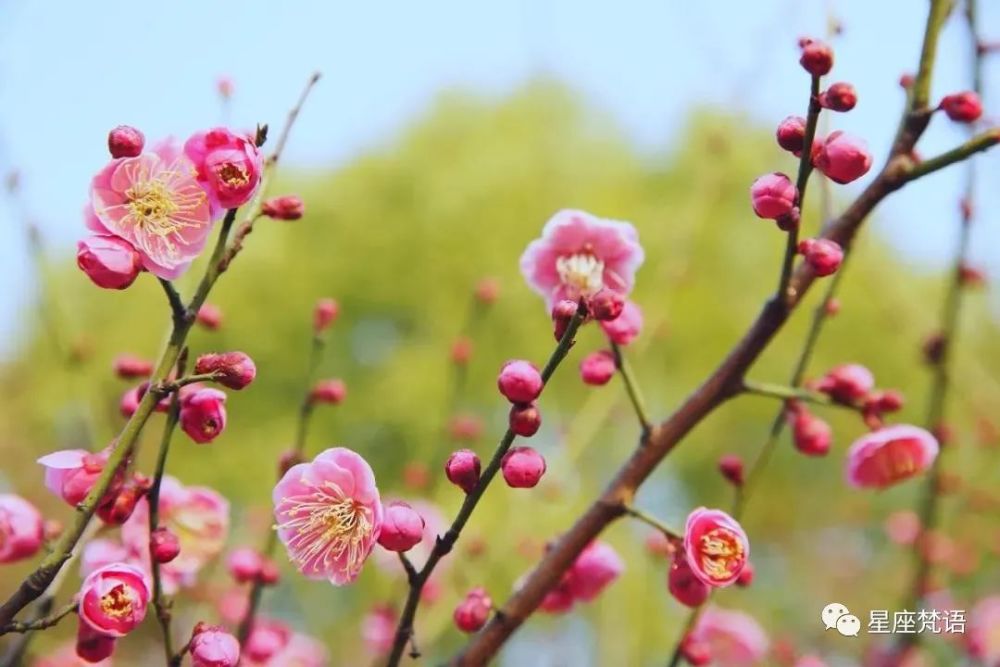 8月金银滚滚来 9月桃花喜上喜 10月天天开口笑 腾讯新闻