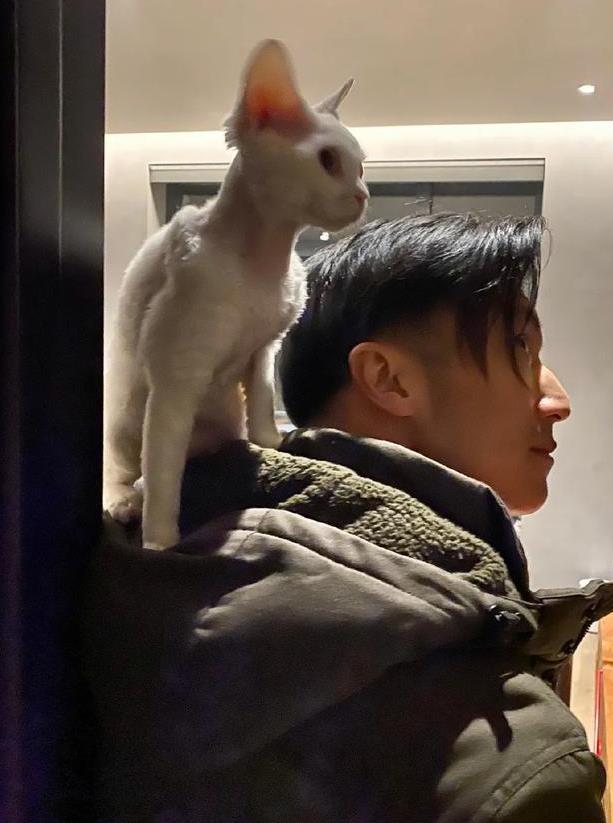 据悉,谢霆锋一共养了两只猫,一只是黑色的miso,还有一只是白色的dashi