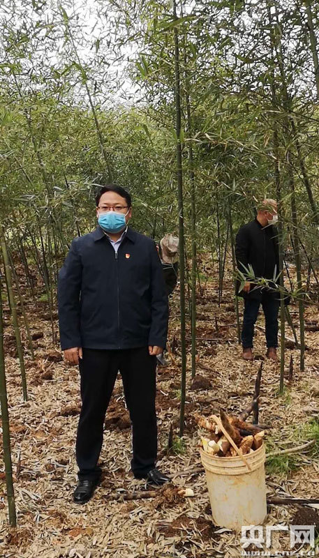 衙前乡党委书记邹国兵助推滞销雷笋邹国兵说,我们想利用新兴媒体的