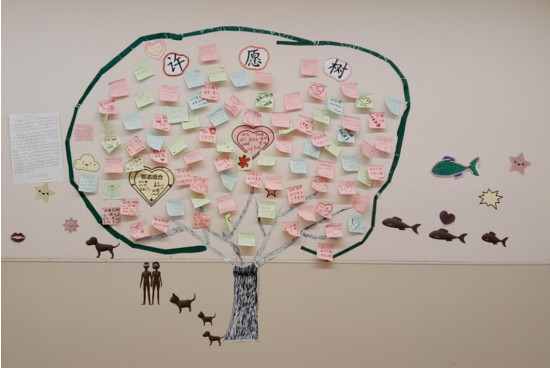 武汉隔离病房内长出"许愿树" 留言令网友泪目