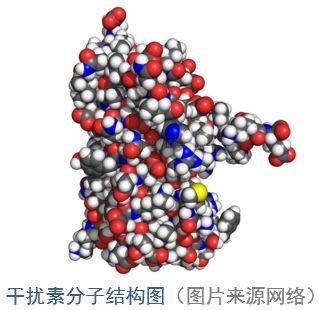干扰素雾化吸入的临床应用及其在新冠肺炎中的应用