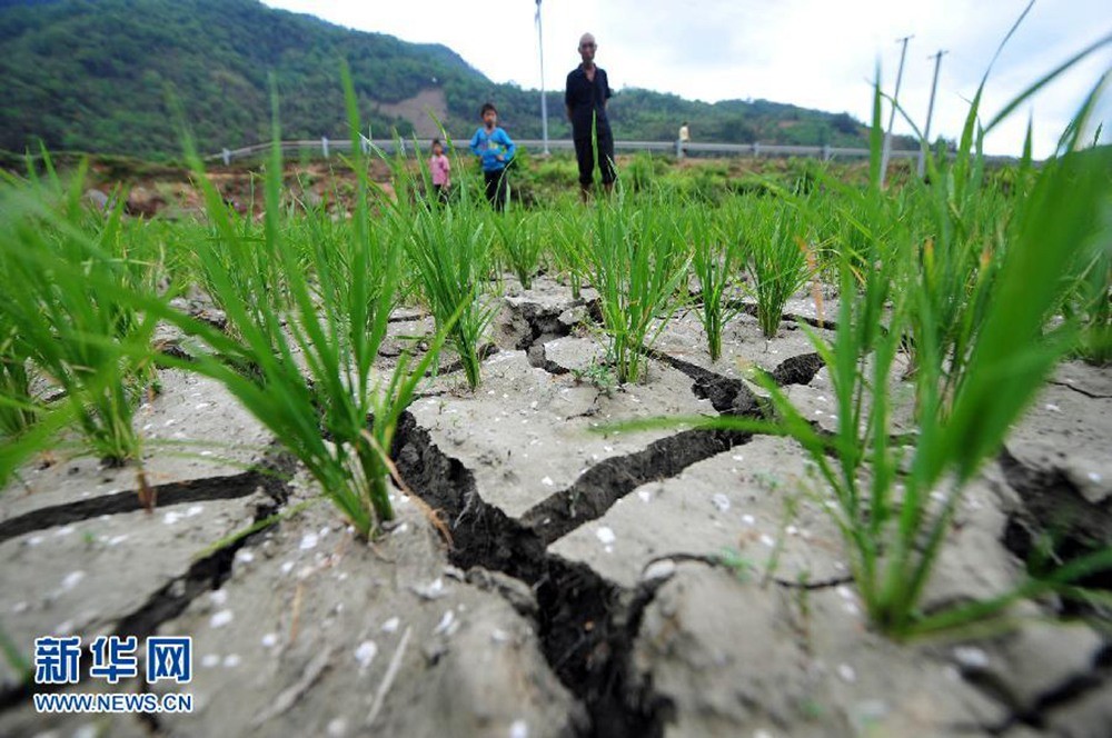严重,全县40口塘坝已全部干涸见底,因旱灾造成饮水困难人数达23084人