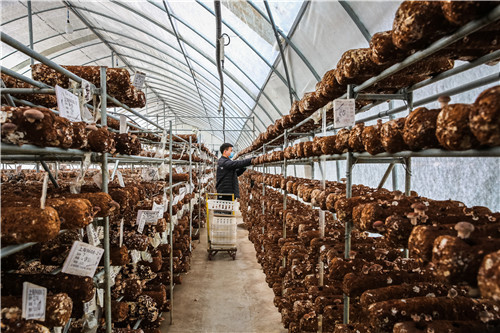 淄川民企七河生物待遇留人驶入发展快车道