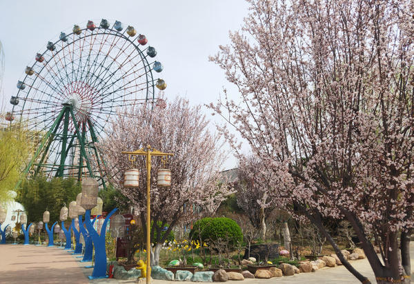 漯河市神州鳥園景區實地探訪 限客流 設引導員 無接觸入園