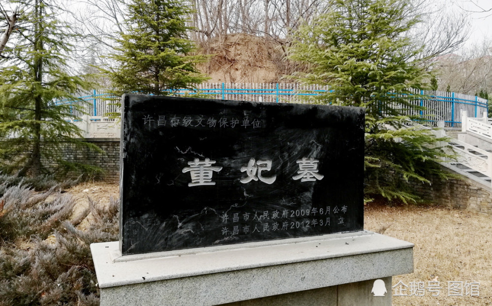 董贵妃的墓冢高5-6米,上面长满了各种各样的杂树木.