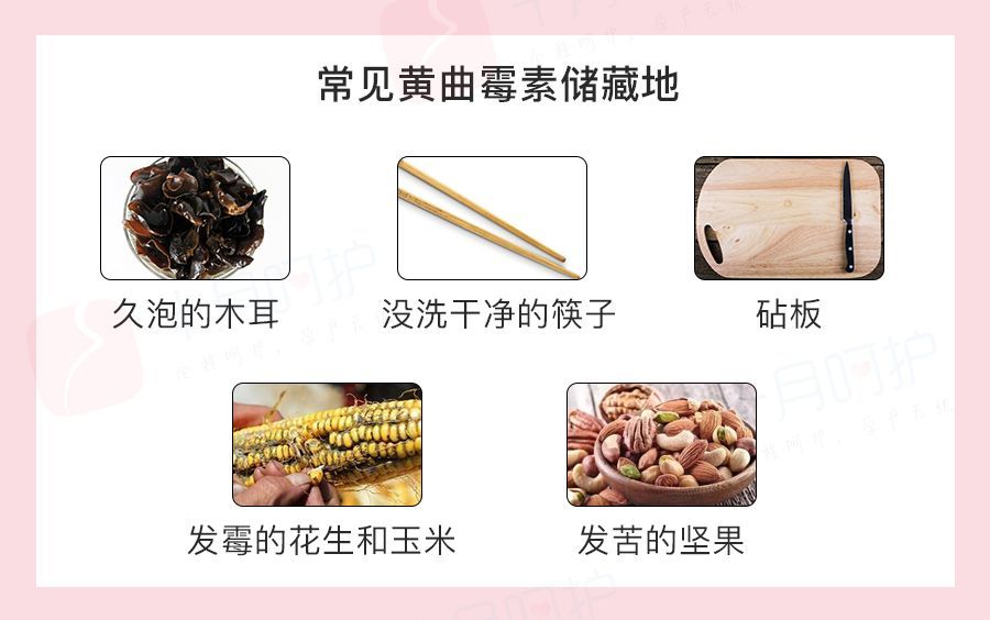 黄曲霉素常常藏在这些地方:作为被世界卫生组织(who)癌症研究机构划定