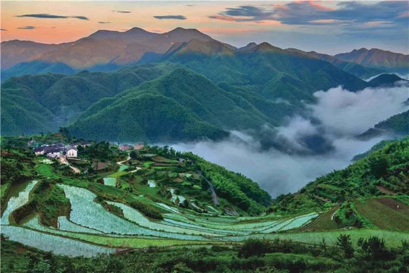 一抹芳草妆春意,十里青山展画屏!绿意宁海,生机盎然
