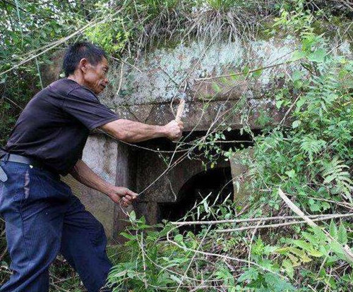 湖北80歲老人:住在墳包30年,直言鬼不如人可怕,不願娶妻生子