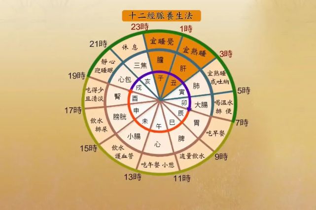 心脏病风险研究证实,长时间熬夜或日夜颠倒的人,不仅导致免疫力下降