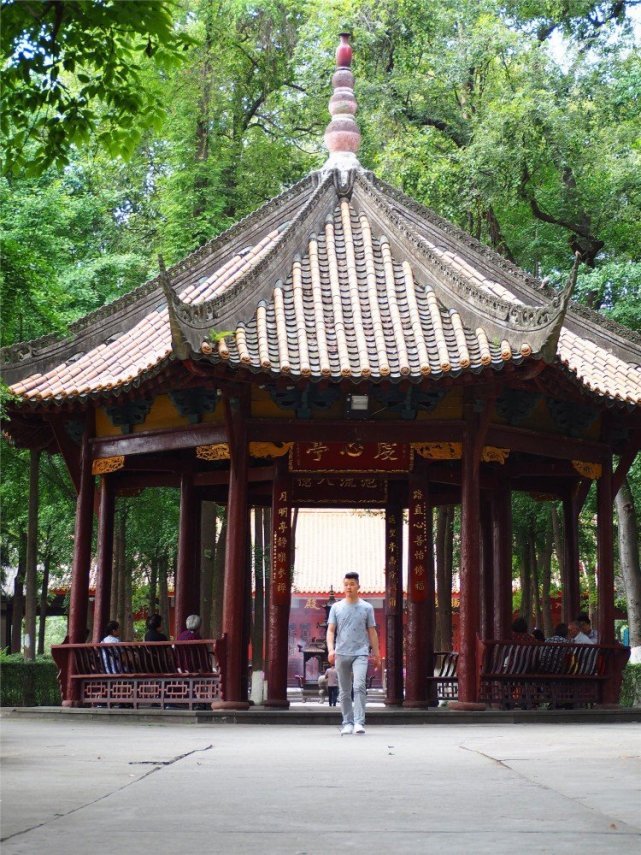 成都北郊"最亲民"古刹,寺内藏罕见"树包碑"奇观,素斋仅5元