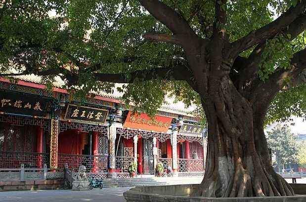 成都北郊"最亲民"古刹,寺内藏罕见"树包碑"奇观,素斋仅5元