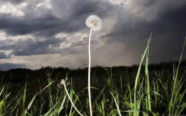 樂於助人這四大星座堪稱及時雨