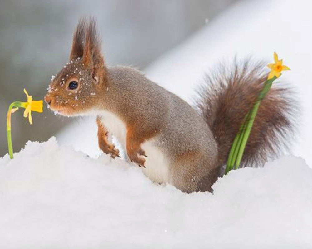 易有是非妨害,故今日属相为马的宜以逸待劳,谨慎避害,不宜举大事