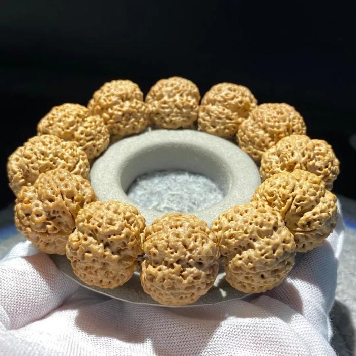 大金刚菩提子今年最热关键词药王你知道多少作为内行人揭一下