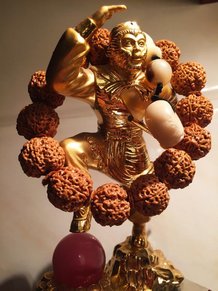 大金刚菩提子今年最热关键词药王你知道多少作为内行人揭一下