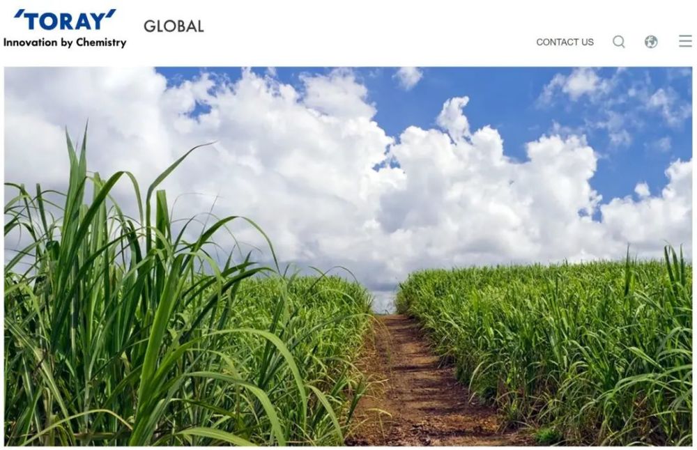 日本东丽:开发首款100%植物基涤纶纤维,减少石油依赖!