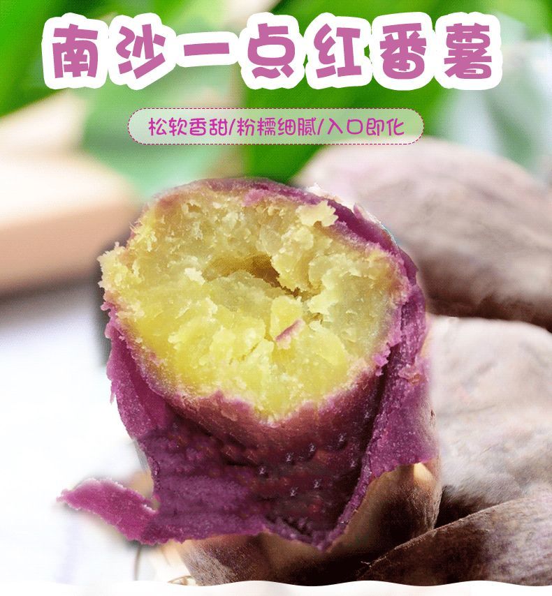 南沙一点红番薯秋冬季回归!木粉甜!68元10斤省内包邮到家!