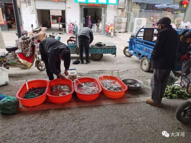 赶仓集该啦久违的人间烟火气