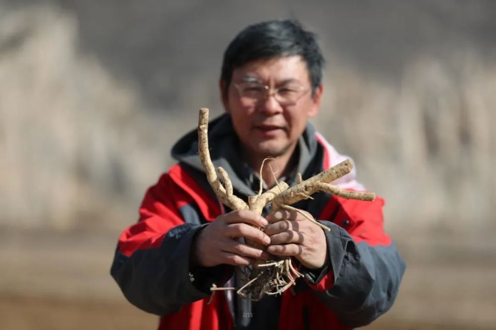 编辑 记者 | 王保龙