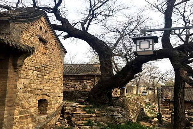 洛阳新安:隐在大山中的古村落,因石而居因寺得名,最大年岁586