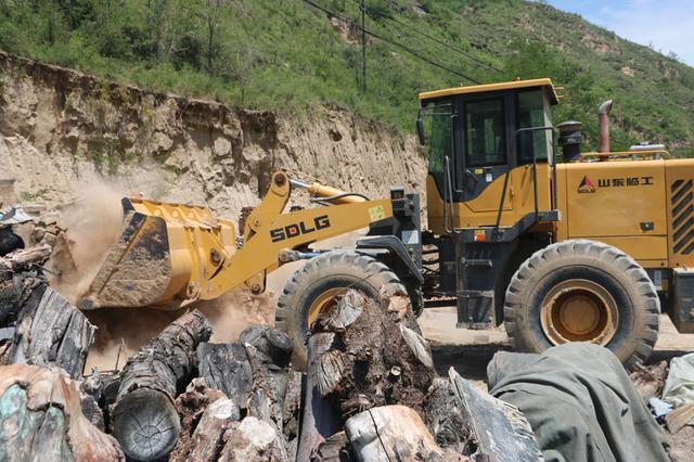 非法木炭窑现场堆放树桩百万斤附近时常烟气笼罩 腾讯新闻