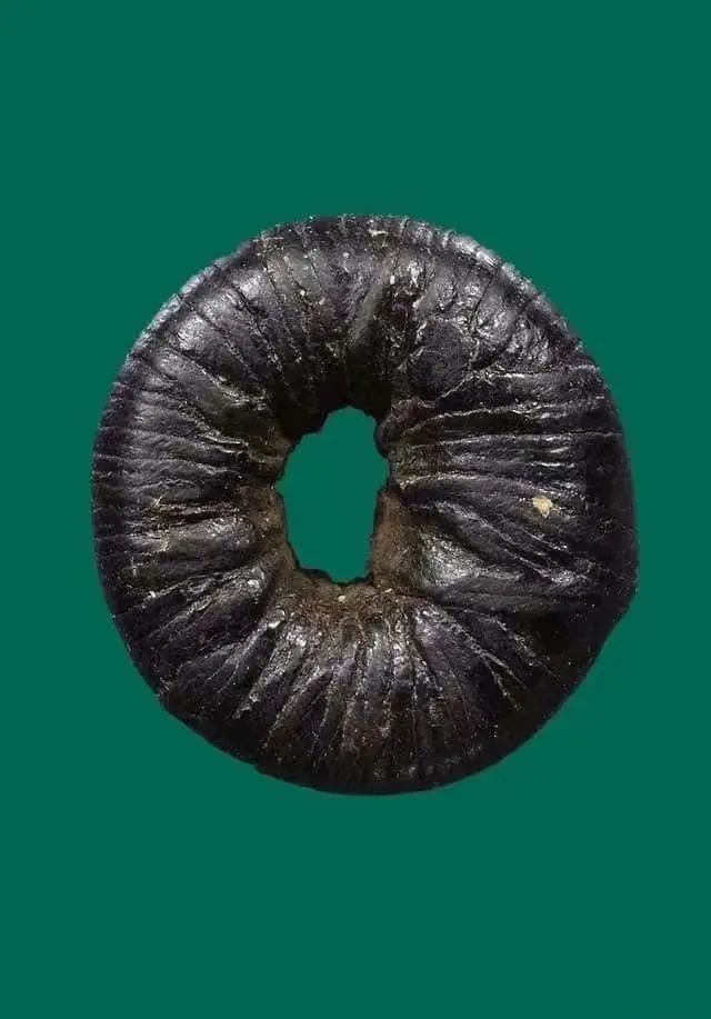 泰国圣物龙婆乔pesamun灵蛇批萨蛮塔固路翁