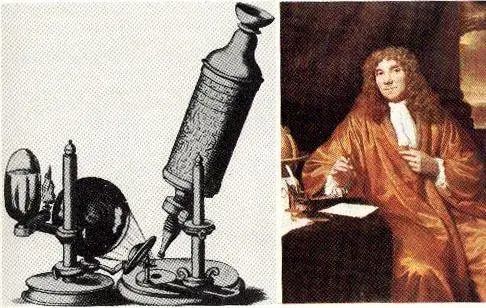 雷文虎克和他发明的显微镜